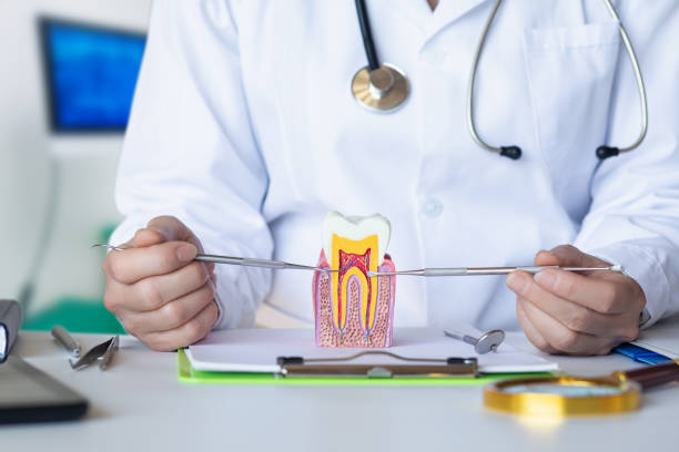 Best Emergency Wisdom Tooth Extraction in Bel Air North, MD